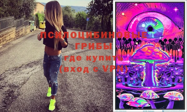 бошки Михайловка