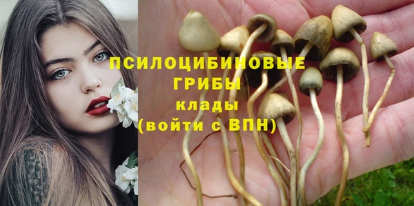 бошки Михайловка