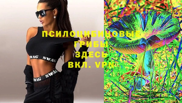 стафф Михайловск