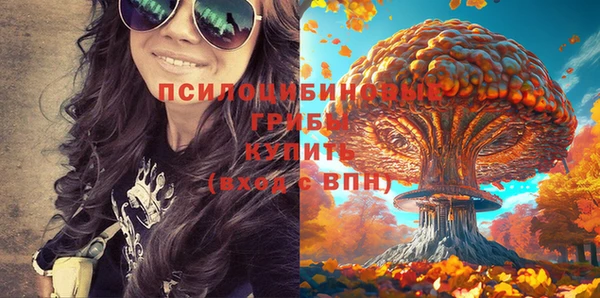 стафф Михайловск